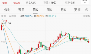 突发！688184，实控人之一被公安机关立案侦查！他现年54岁，是中南大学博士生导师，8天前公司公告他占用资金1.9亿元