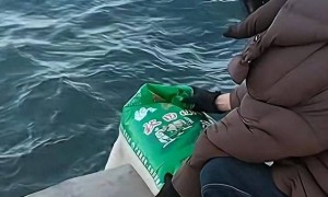 辽宁葫芦岛多人往海里倾倒大米，口中还念念有词，网友：浪费粮食让人不解