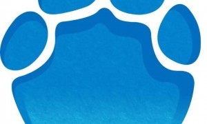 郑州9岁男孩花5块1竞拍成校长助理，参加行政会坐校长旁边品茶吃零食、提意见，老师：侃侃而谈我们都很震惊