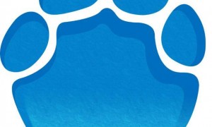 2024年平均工资公布，全国城镇非私营单位就业人员年平均工资124110元