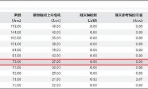 ST沈化为何虚增利润同时虚减存货?部分高管薪酬造假年份上涨