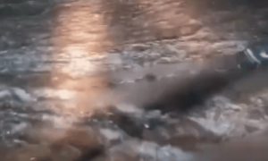 辽宁葫芦岛遭遇暴雨,应急局:工作人员赶往前线途中遇大水弃车逃生