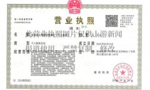 男子开公司取名“海南省自然资源管理厅”获批,相关部门:系统自动审核出错