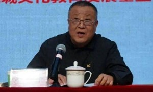 涉嫌严重违纪违法,退休17年的方平被查